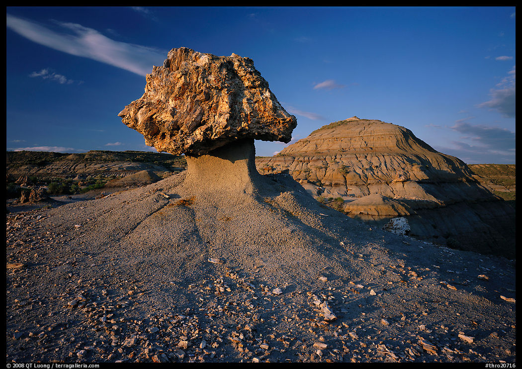 Pedestal petrified log and badlands, late afternoon. Theodore Roosevelt  National Park, North Dakota, USA.