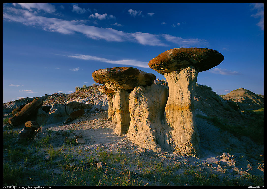 Caprock formations, late afternoon, Petrified Forest Plateau. Theodore Roosevelt  National Park, North Dakota, USA.