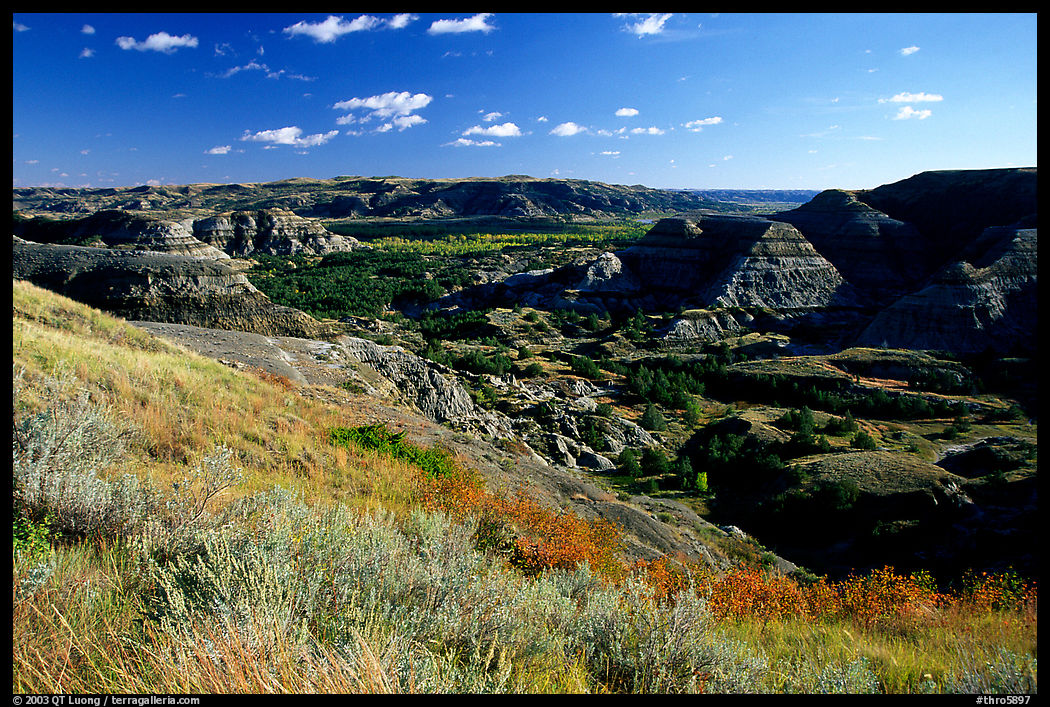 Forested Badlands. Theodore Roosevelt  National Park, North Dakota, USA.