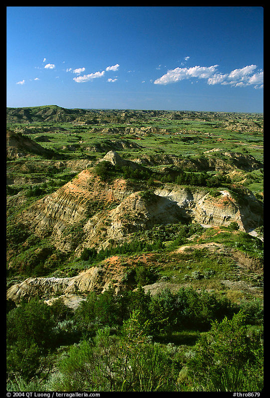Painted Canyon, late afternoon. Theodore Roosevelt  National Park, North Dakota, USA.