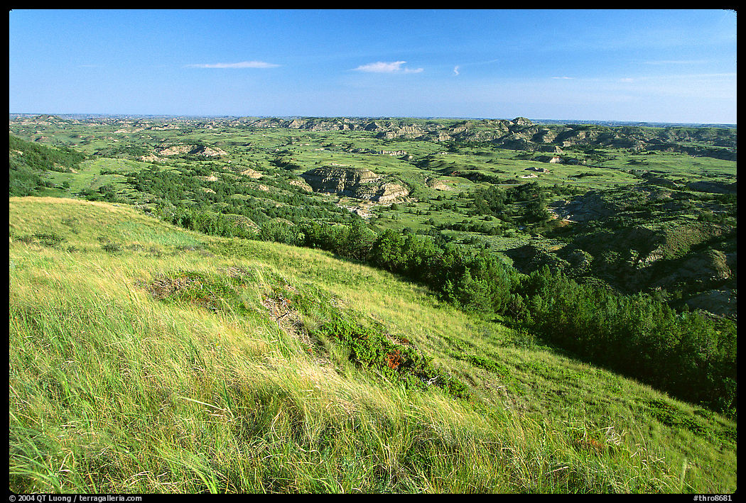 Prairie and badlands from Buck Hill, early morning. Theodore Roosevelt  National Park, North Dakota, USA.