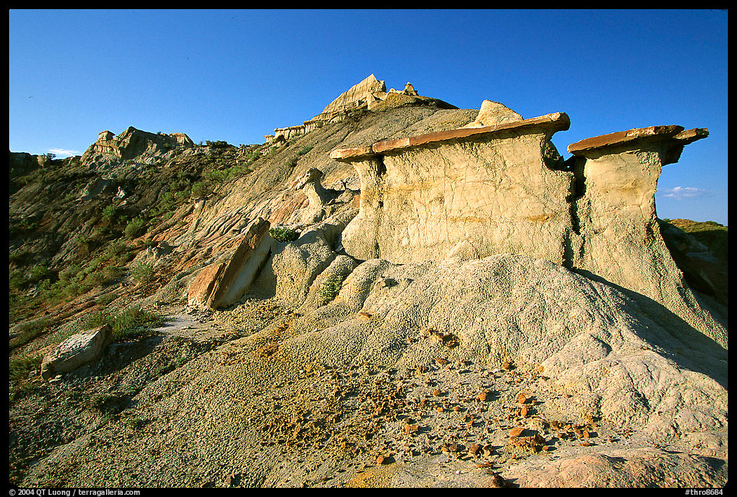 Erosion formations with caprocks, South Unit. Theodore Roosevelt  National Park, North Dakota, USA.