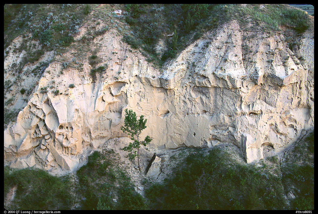 Wind Canyon walls. Theodore Roosevelt  National Park, North Dakota, USA.