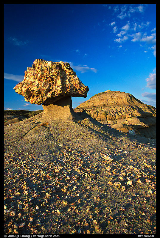 Pedestal petrified log and badlands, late afternoon. Theodore Roosevelt  National Park, North Dakota, USA.
