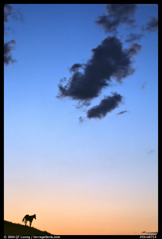 Wild horse silhouette and cloud, sunset, South Unit. Theodore Roosevelt  National Park, North Dakota, USA.
