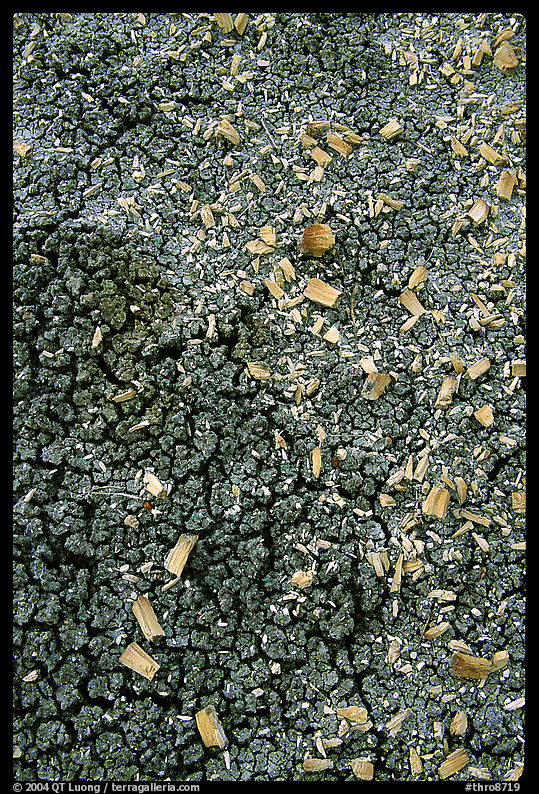 Small pieces of petrified wood scattered over cracked bentonite, North Unit. Theodore Roosevelt  National Park, North Dakota, USA.