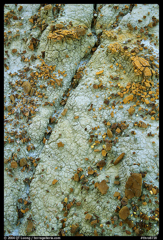 Small pieces of bakelite scattered over cracked bentonite, North Unit. Theodore Roosevelt  National Park
