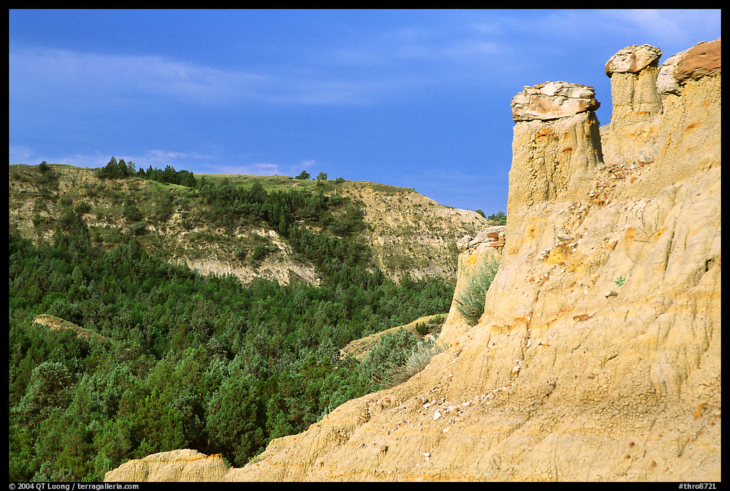 Caprock chimneys, Caprock coulee trail, North Unit. Theodore Roosevelt  National Park, North Dakota, USA.