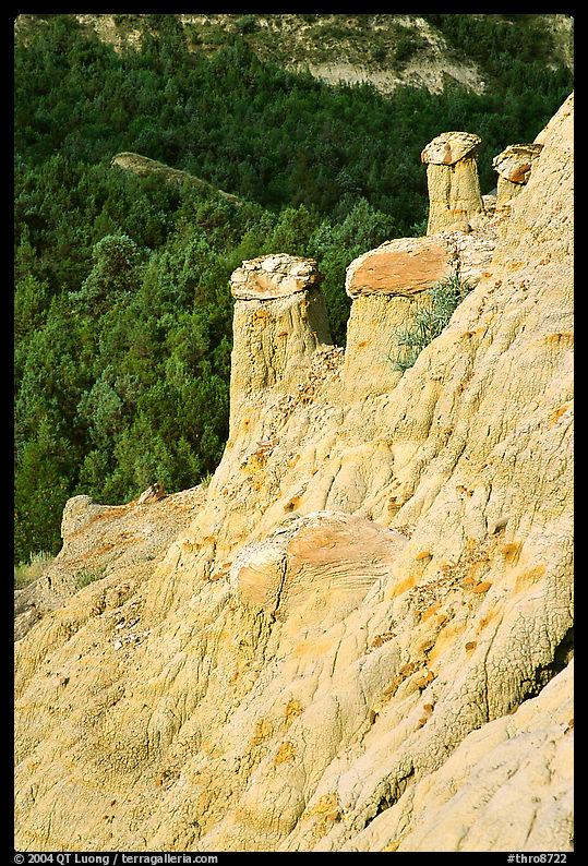Rain pillars, Caprock coulee trail, North Unit. Theodore Roosevelt  National Park, North Dakota, USA.