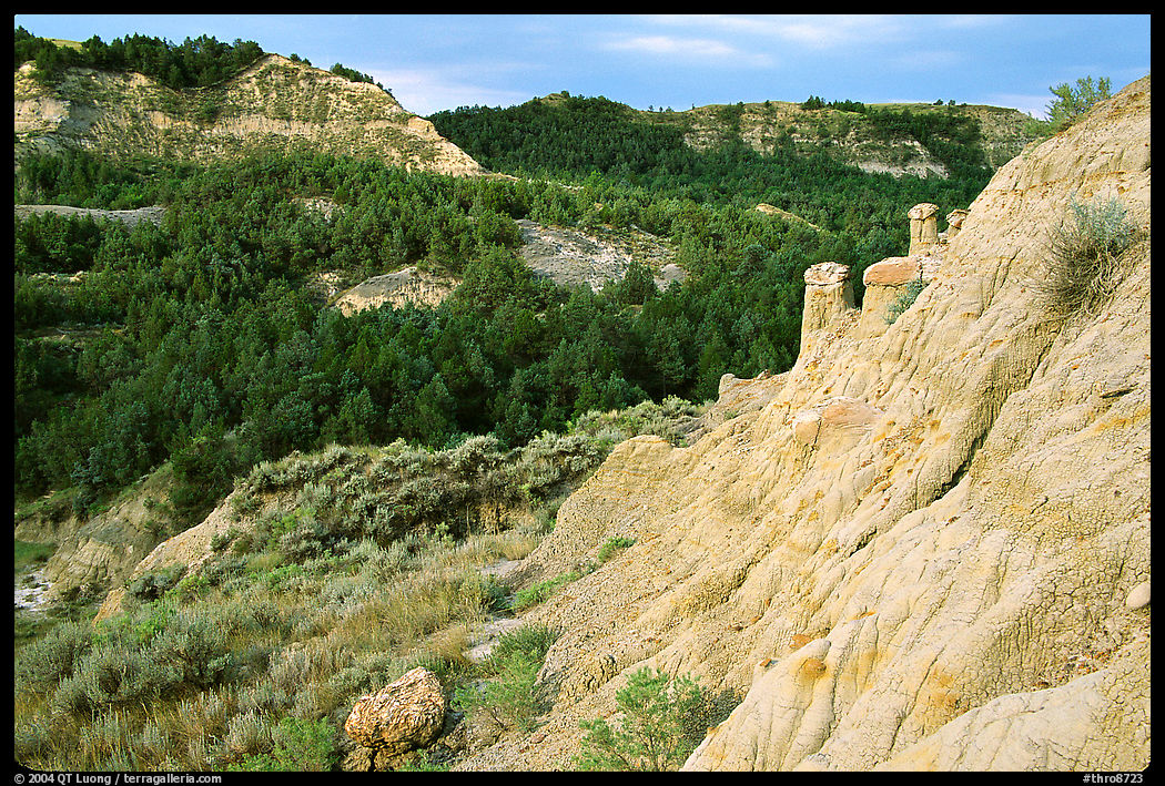 Rain Pillars, Caprock coulee trail, North Unit. Theodore Roosevelt  National Park, North Dakota, USA.