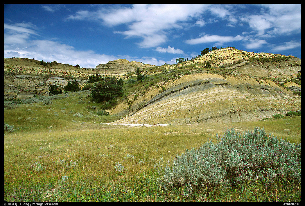 Slump blocks, North Unit. Theodore Roosevelt  National Park, North Dakota, USA.