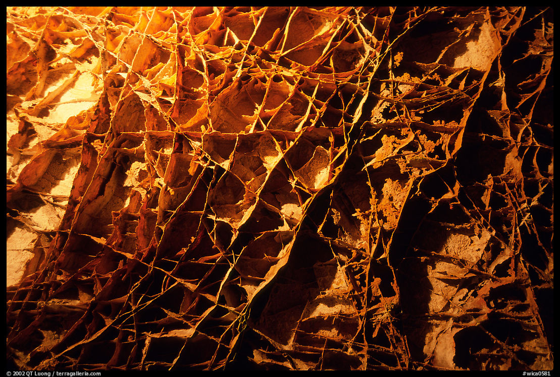 The cave unique boxwork, a calcite formation. Wind Cave  National Park, South Dakota, USA.