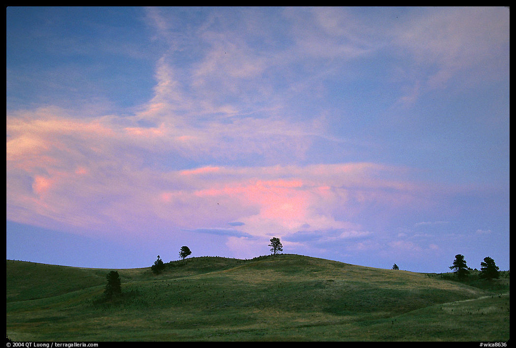 Hills, sunset. Wind Cave  National Park, South Dakota, USA.