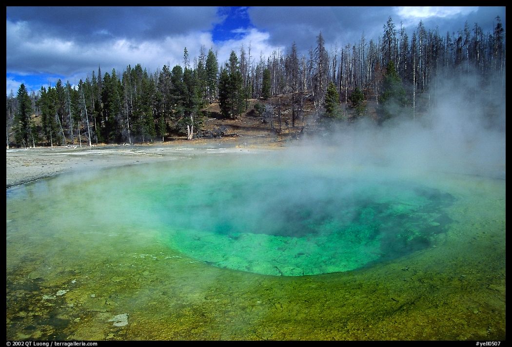 Steam out of Beauty pool in Upper geyser basin. Yellowstone National Park, Wyoming, USA.