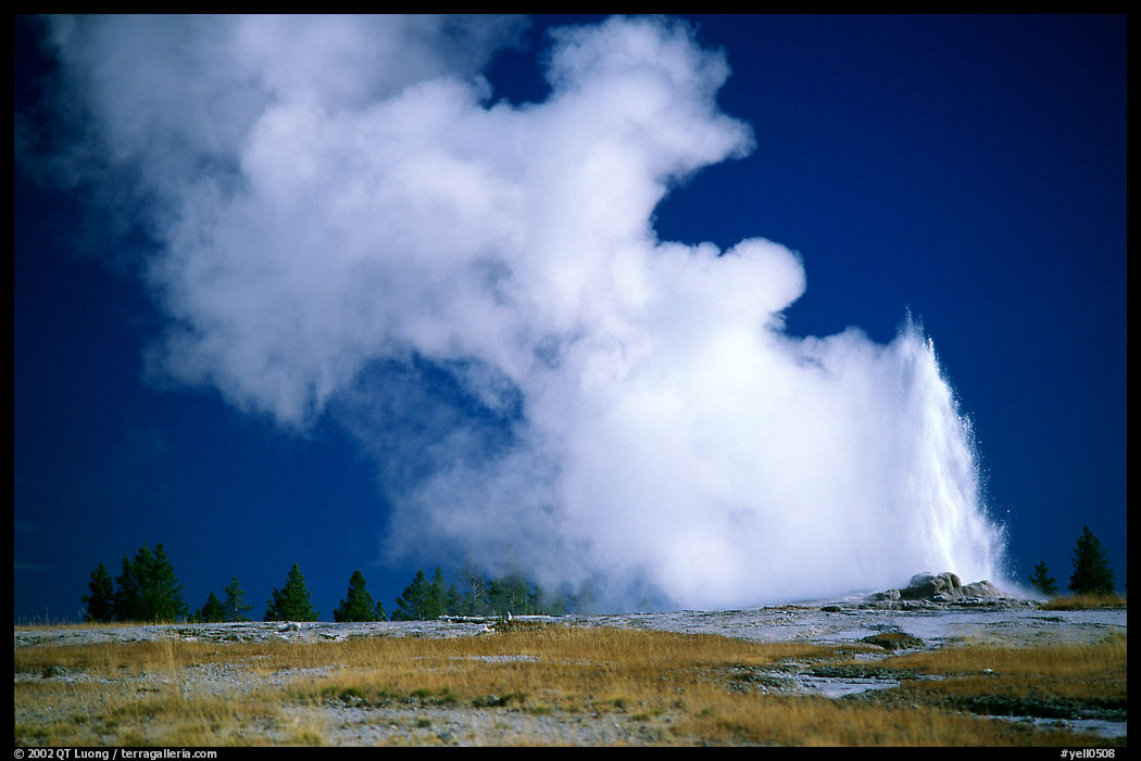 Steam clouds drifting from Old Faithfull geyser. Yellowstone National Park, Wyoming, USA.