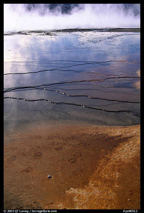 Terraces in Great prismatic springs, Midway geyser basin. Yellowstone National Park, Wyoming, USA.