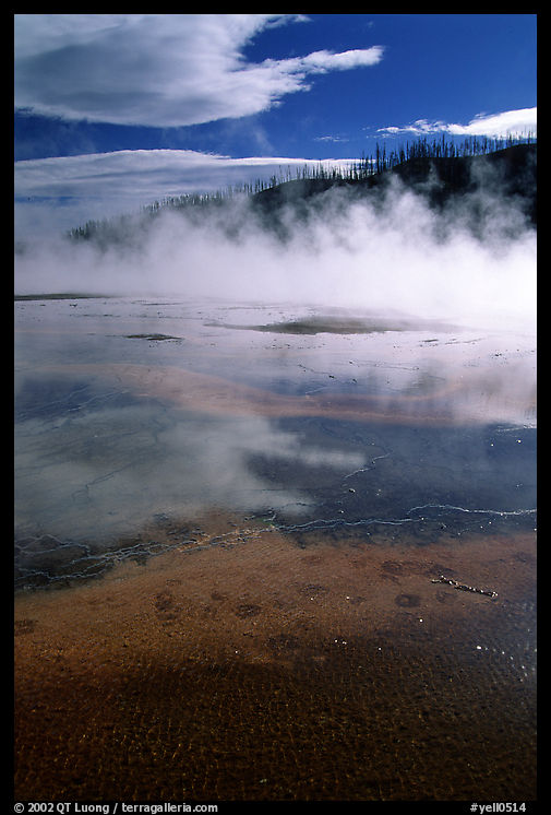 Great prismatic springs, thermal steam, and hill,  Midway geyser basin. Yellowstone National Park, Wyoming, USA.