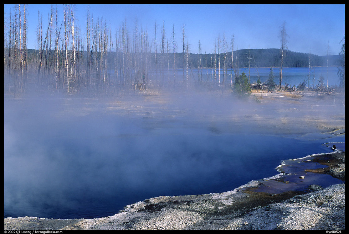 West Thumb geyser basin. Yellowstone National Park, Wyoming, USA.
