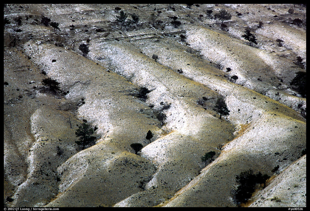Fresh snow on foothill ridges. Yellowstone National Park, Wyoming, USA.