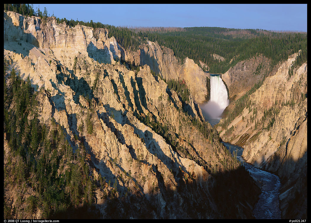 Wide view of Grand Canyon of the Yellowstone, morning. Yellowstone National Park, Wyoming, USA.