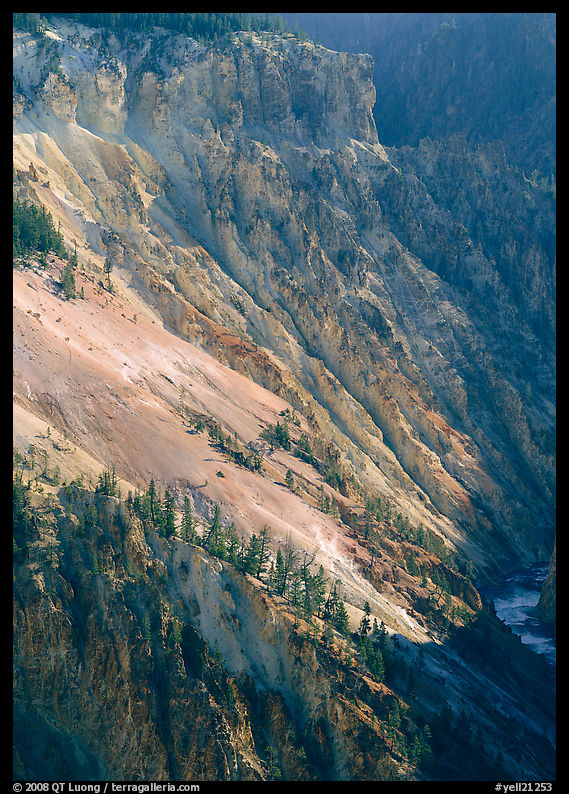 Slopes of Grand Canyon of the Yellowstone. Yellowstone National Park, Wyoming, USA.