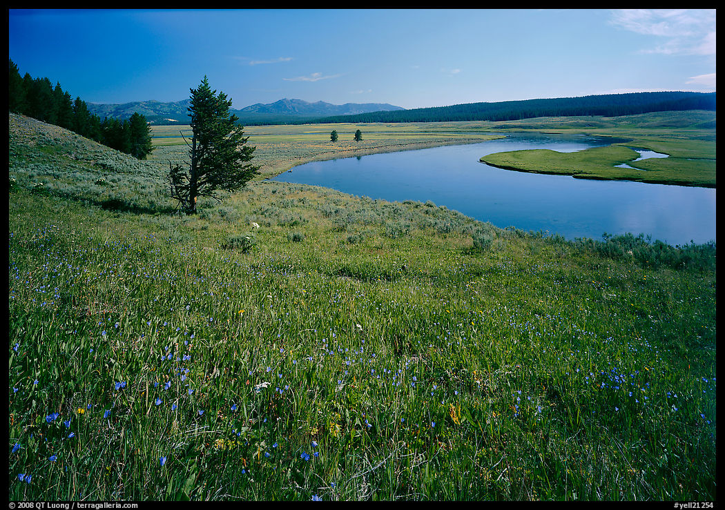 Meadow and bend of the Yellowstone River, Hayden Valley. Yellowstone National Park, Wyoming, USA.