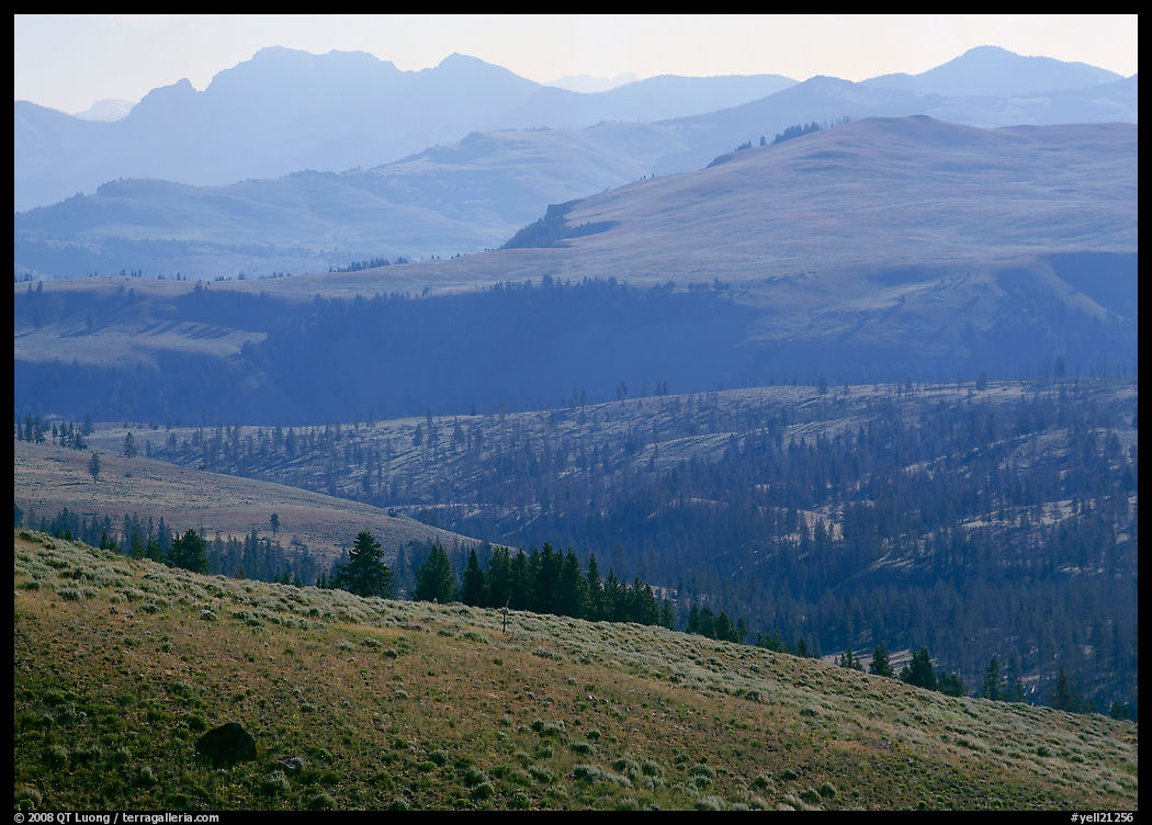 Absaroka Range from Dunraven Pass, early morning. Yellowstone National Park, Wyoming, USA.