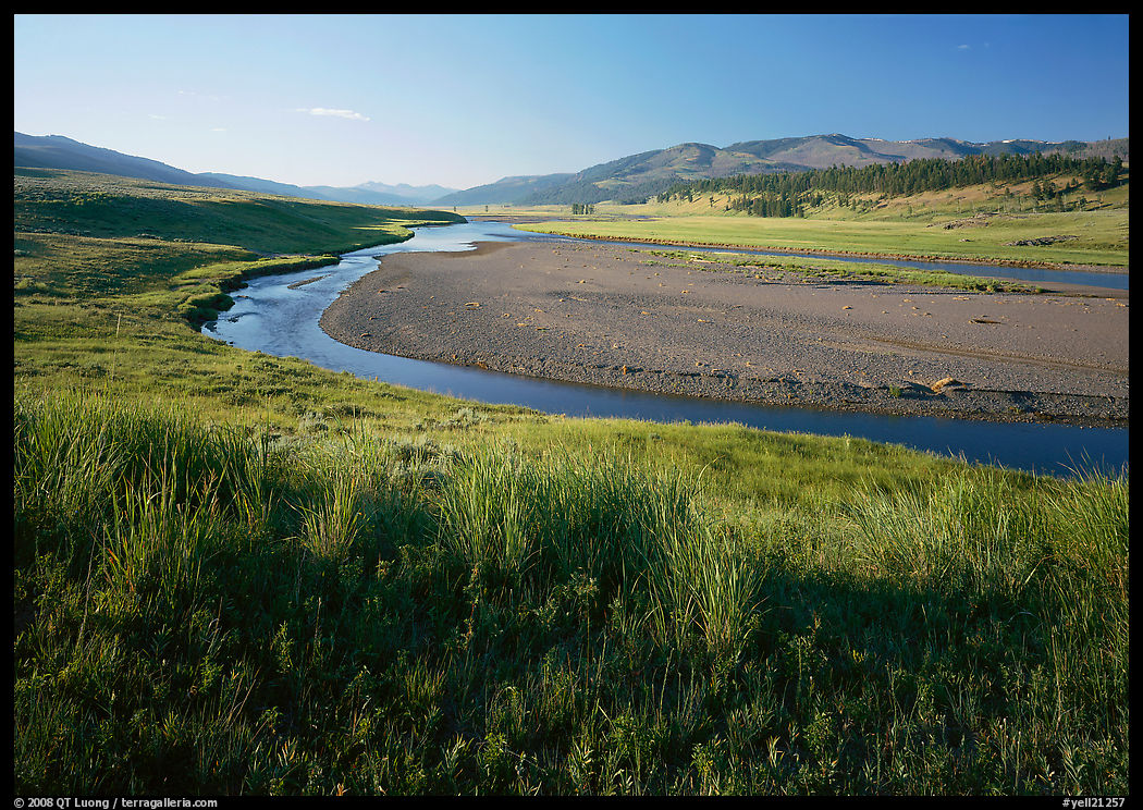 Meadow and river in wide Lamar Valley. Yellowstone National Park, Wyoming, USA.