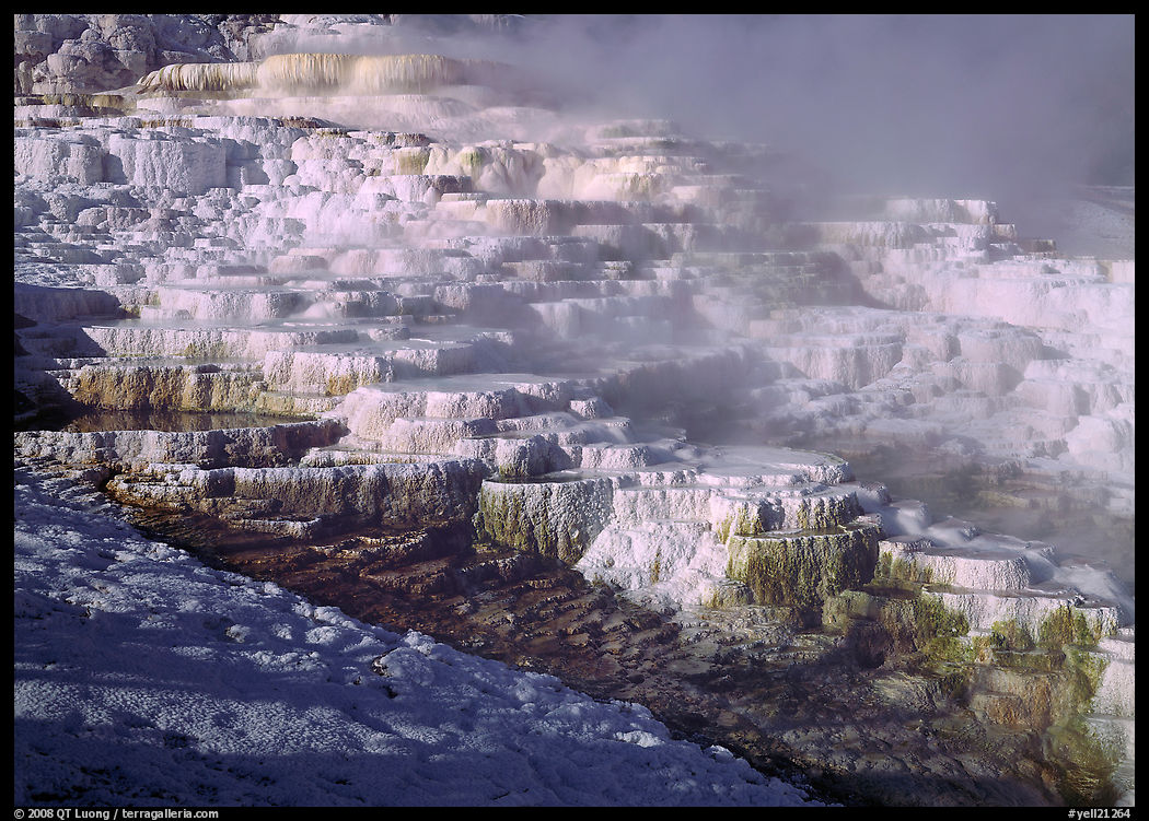 Minerva travertine terraces and steam, Mammoth Hot Springs. Yellowstone National Park, Wyoming, USA.