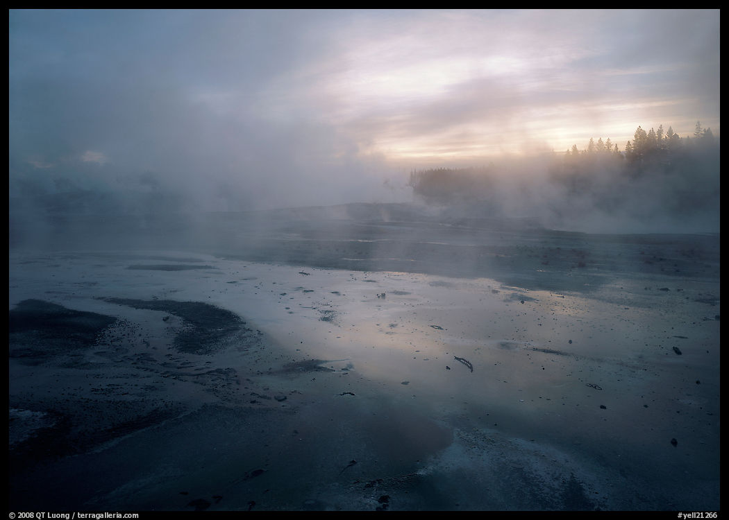Steam in Norris Geyser Basin at dawn. Yellowstone National Park, Wyoming, USA.