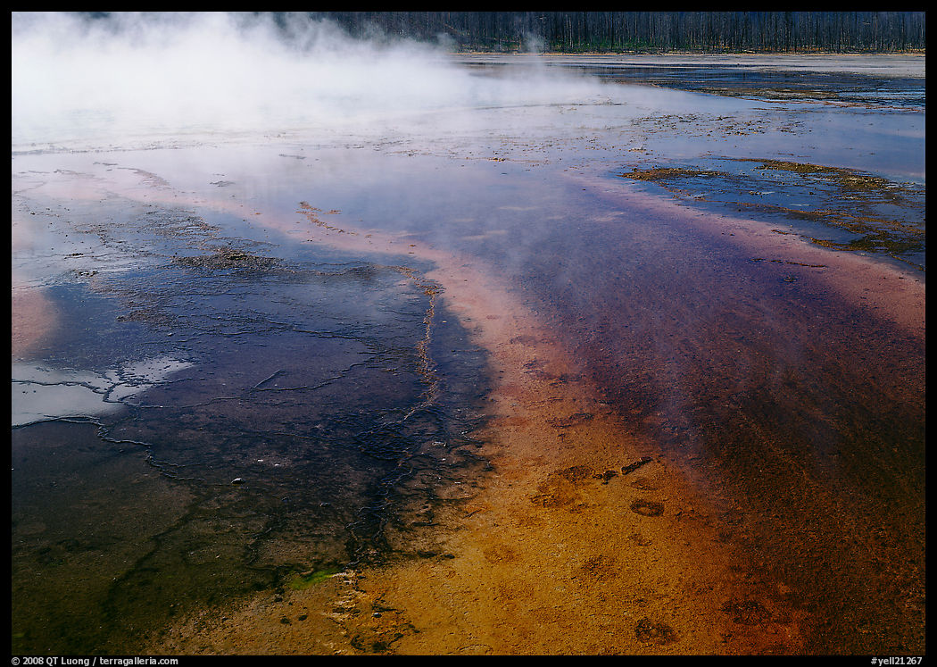 Great prismatic springs, Midway geyser basin. Yellowstone National Park, Wyoming, USA.