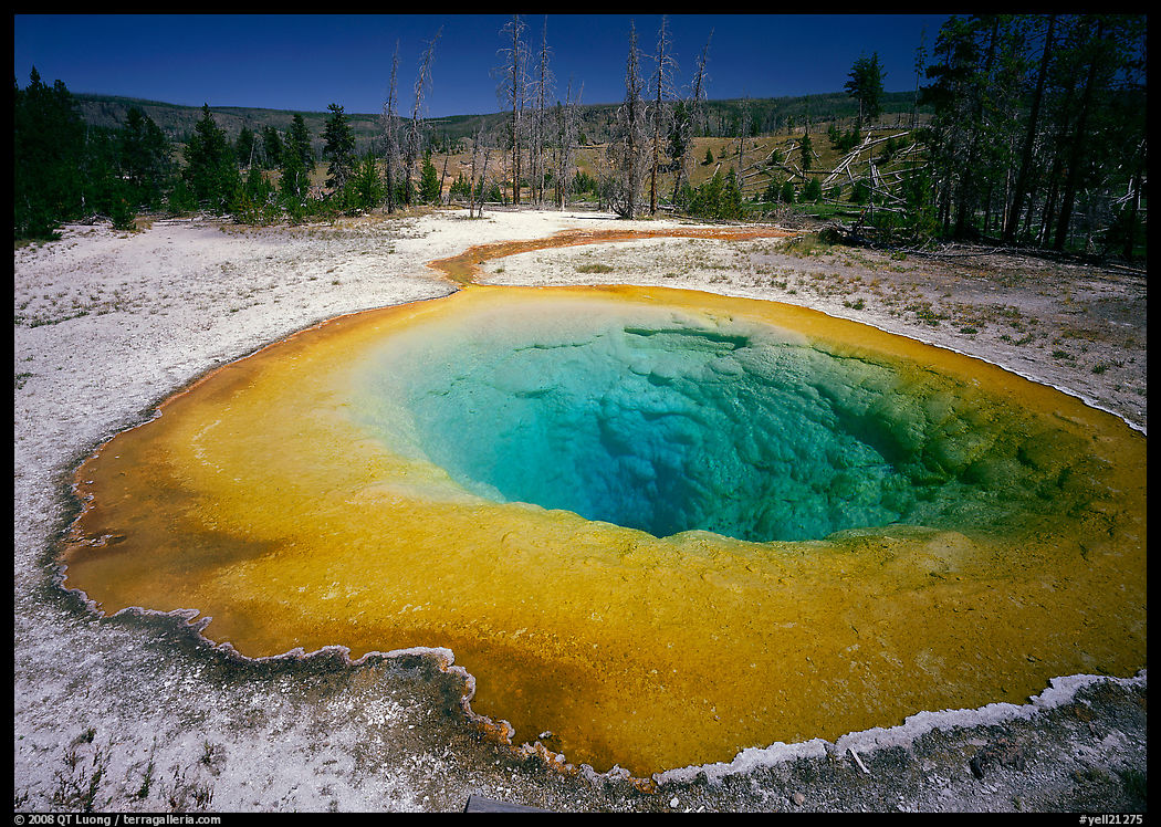 Raibow colored Morning Glory Pool. Yellowstone National Park, Wyoming, USA.