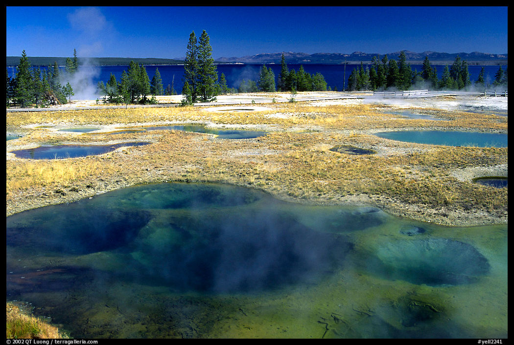 West Thumb Geyser Basin. Yellowstone National Park, Wyoming, USA.