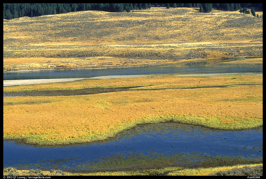Yellowstone River and meadow in fall. Yellowstone National Park, Wyoming, USA.