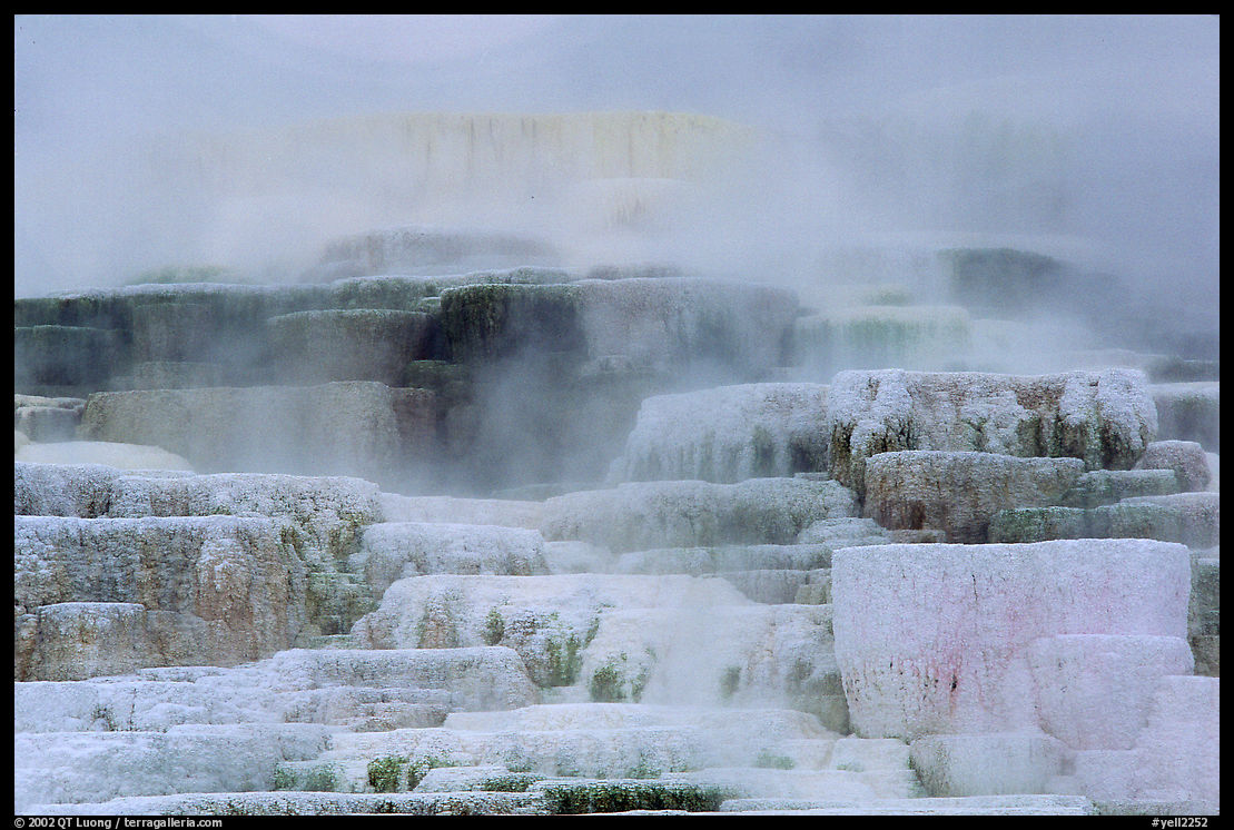 Travertine terraces at Mammoth Hot Springs. Yellowstone National Park, Wyoming, USA.