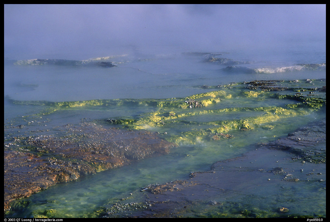 Yellow mineral deposits in a hot springs, Midway Geyser basin. Yellowstone National Park, Wyoming, USA.