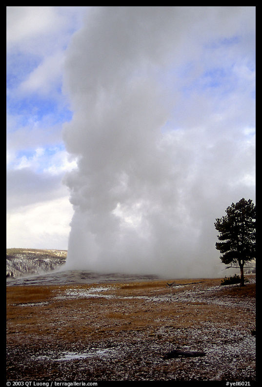 Steam column from Old Faithful Geyser. Yellowstone National Park, Wyoming, USA.