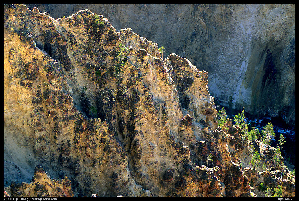 Rock wall in Grand Canyon of the Yellowstone. Yellowstone National Park, Wyoming, USA.