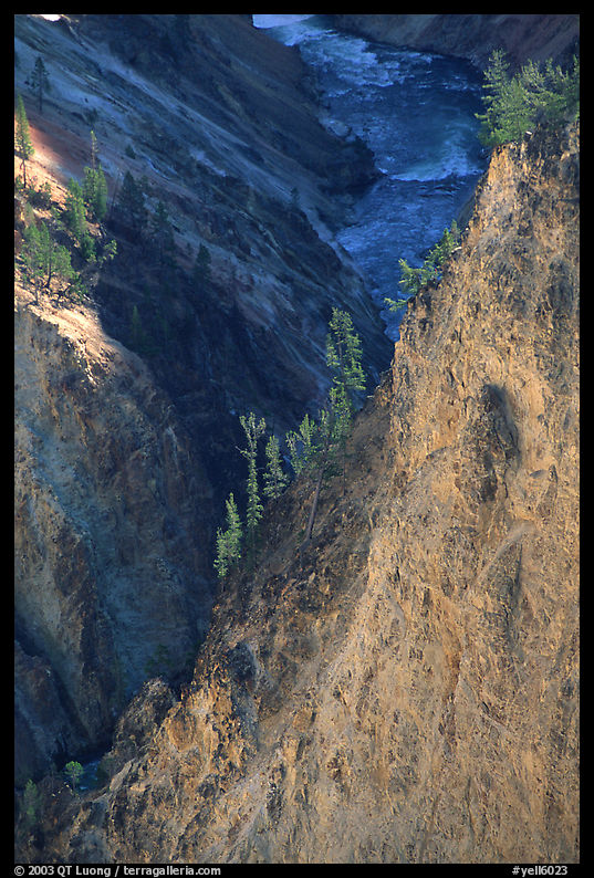 Wall and River in Grand Canyon of the Yellowstone. Yellowstone National Park, Wyoming, USA.