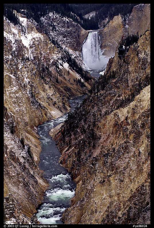 Falls of the Yellowstone river in Grand Canyon of the Yellowstone. Yellowstone National Park, Wyoming, USA.