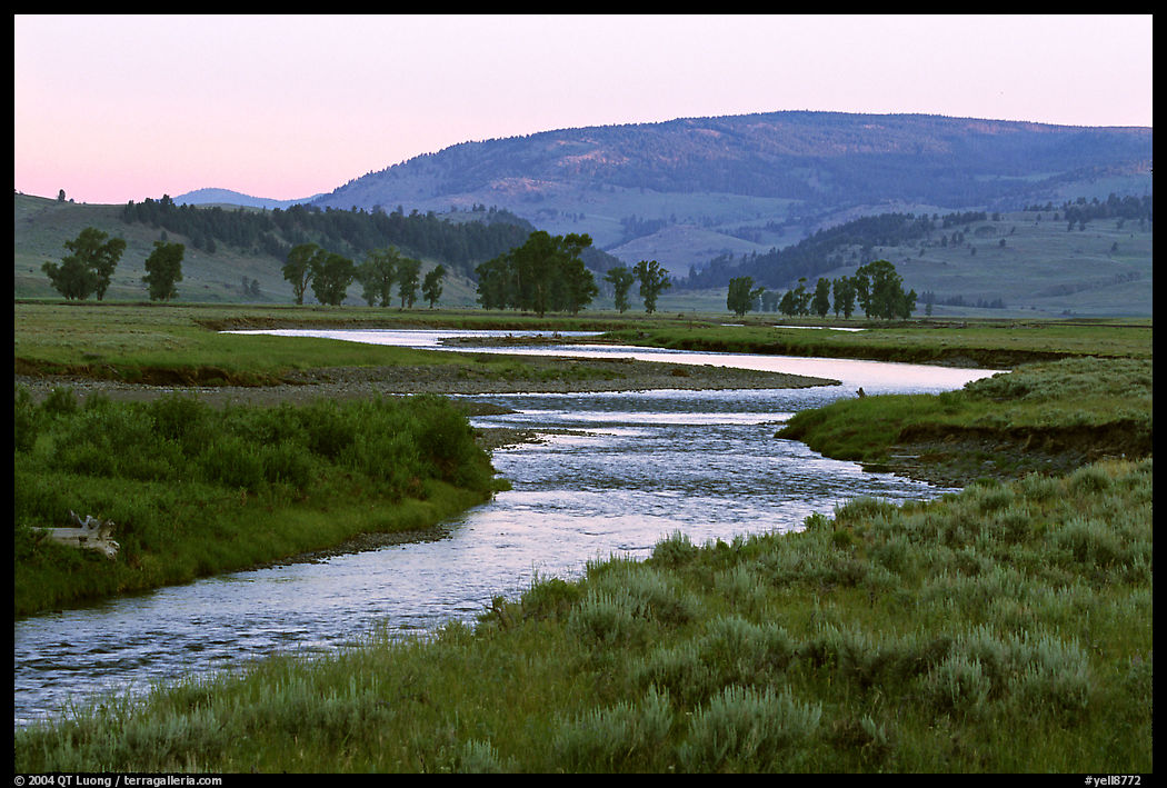 Soda Butte Creek, Lamar Valley, dawn. Yellowstone National Park, Wyoming, USA.
