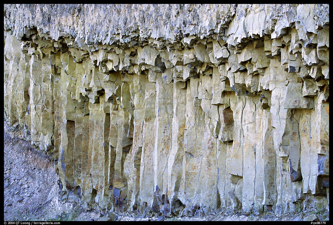 Basalt columns. Yellowstone National Park, Wyoming, USA.