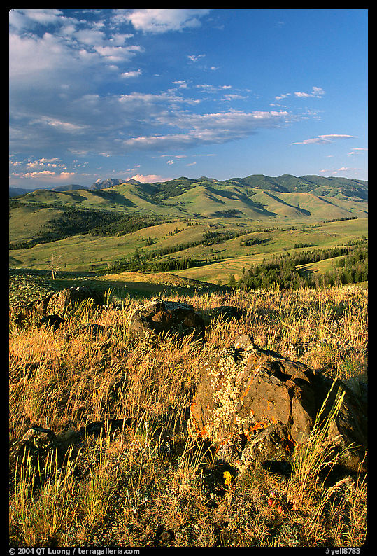 Rocks, grasses, and hills, Specimen ridge, late afternoon. Yellowstone National Park, Wyoming, USA.