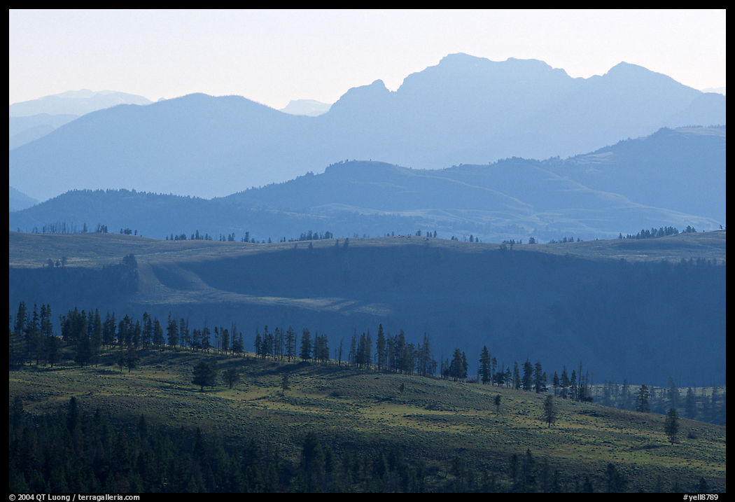 Backlit ridges of Absaroka Range from Dunraven Pass, early morning. Yellowstone National Park, Wyoming, USA.