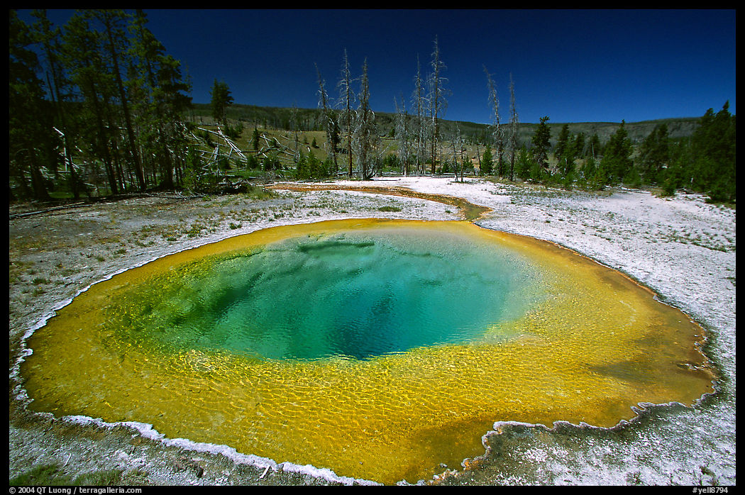 Morning Glory Pool, midday. Yellowstone National Park, Wyoming, USA.
