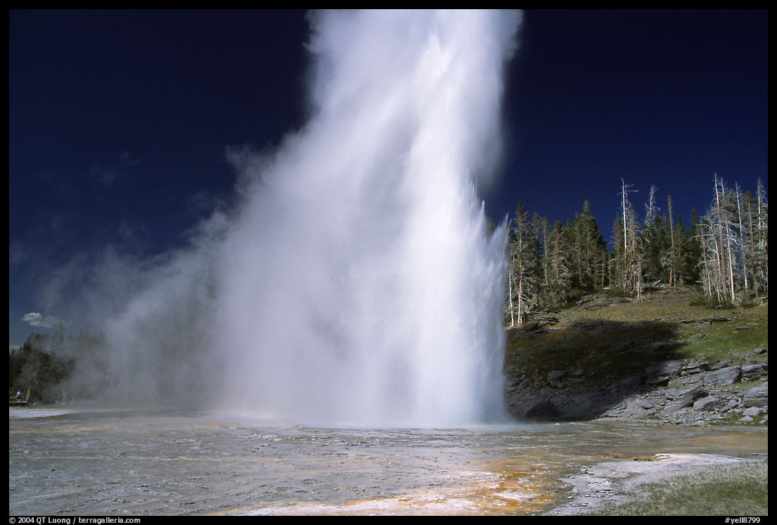 Grand Geyser eruption, afternoon. Yellowstone National Park, Wyoming, USA.