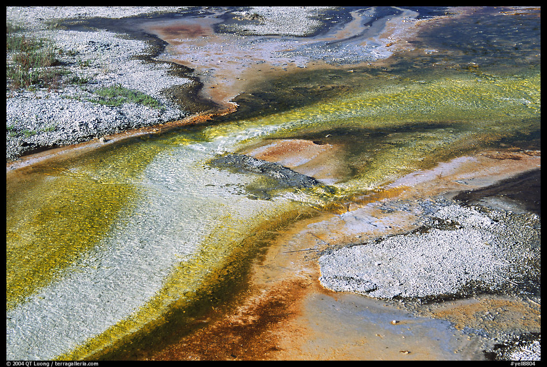 Colorful algaes patterns, Biscuit Basin. Yellowstone National Park