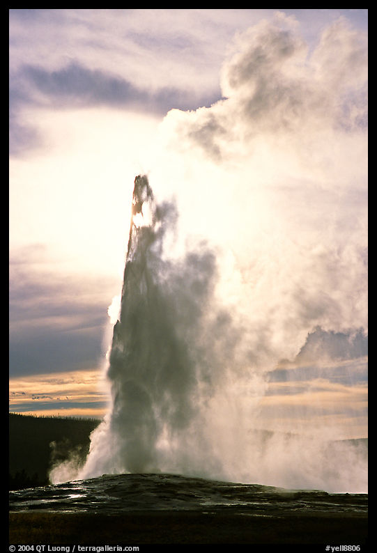 Old Faithful Geyser, late afternoon. Yellowstone National Park, Wyoming, USA.