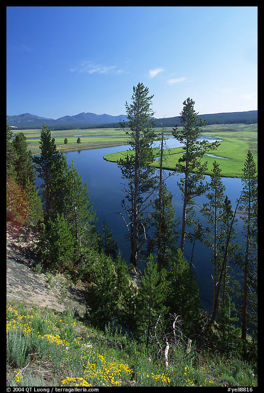 Trees and bend of the Yellowstone River, Hayden Valley. Yellowstone National Park, Wyoming, USA.
