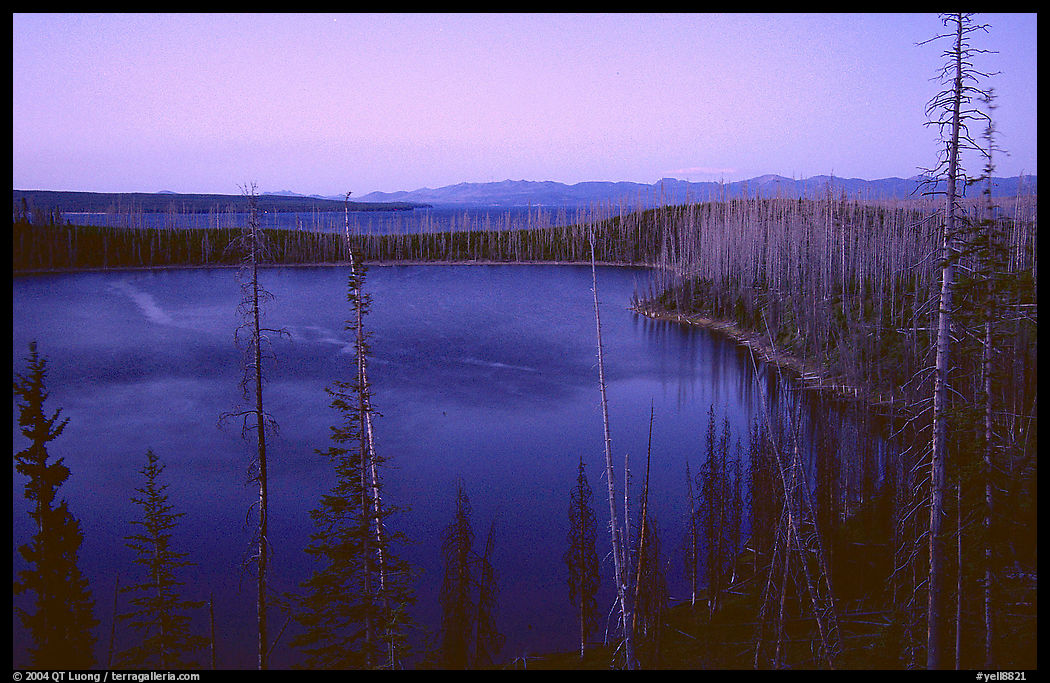 West Thumb at dusk. Yellowstone National Park
